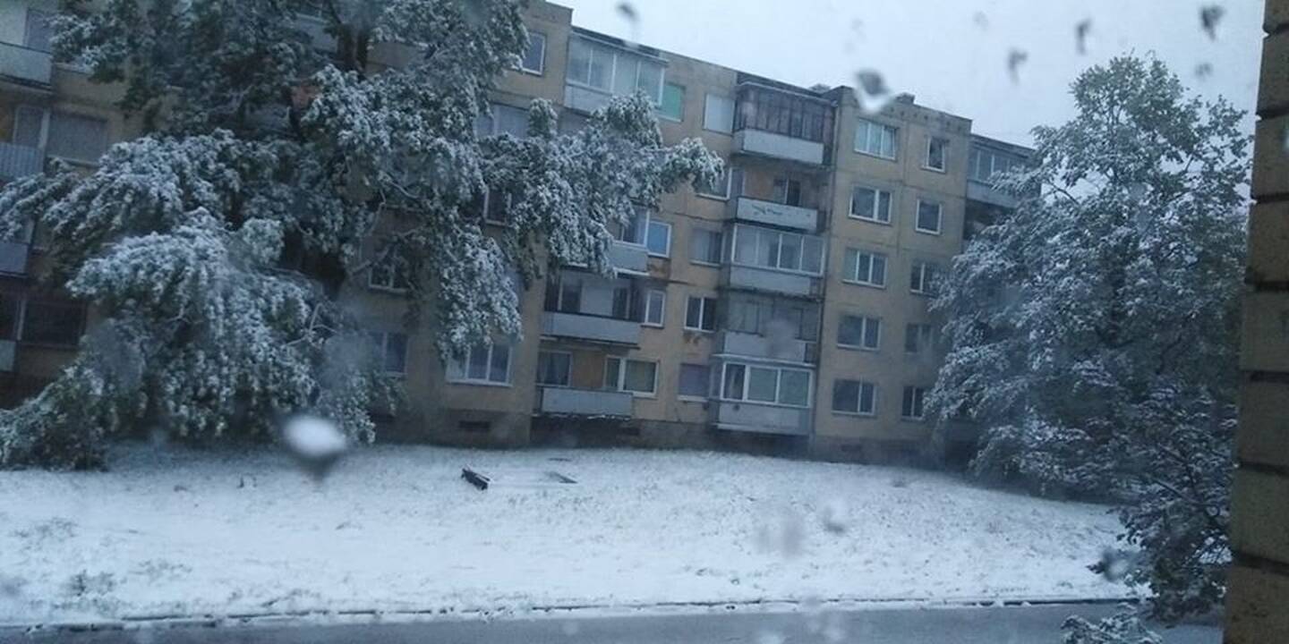 Kauniečių užfiksuotas sniegas gegužės 12-ąją