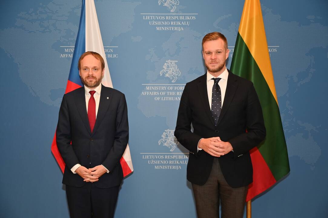 Jakubas Kulhánekas (kairėje) ir Gabrielius Landsbergis (dešinėje)