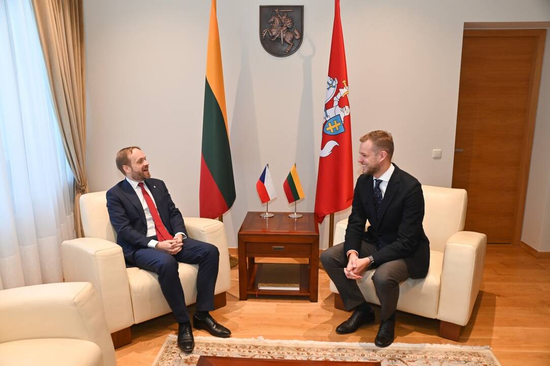 Jakubas Kulhánekas (kairėje) ir Gabrielius Landsbergis (dešinėje)