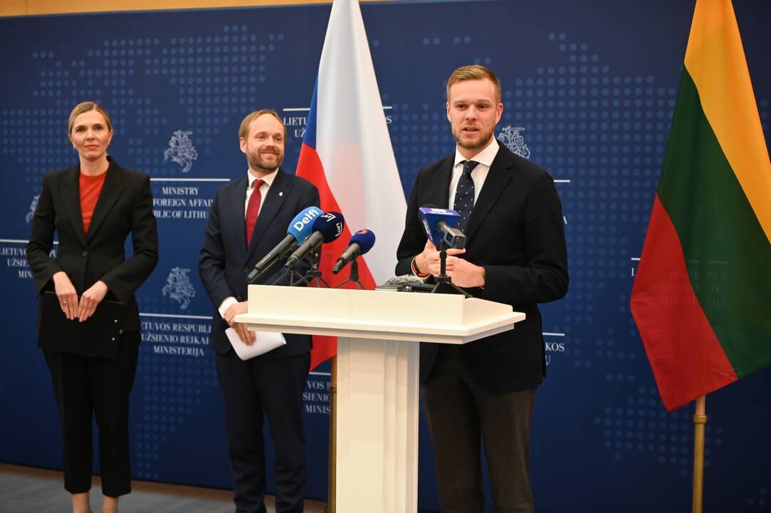Jakubas Kulhánekas (kairėje) ir Gabrielius Landsbergis (dešinėje)