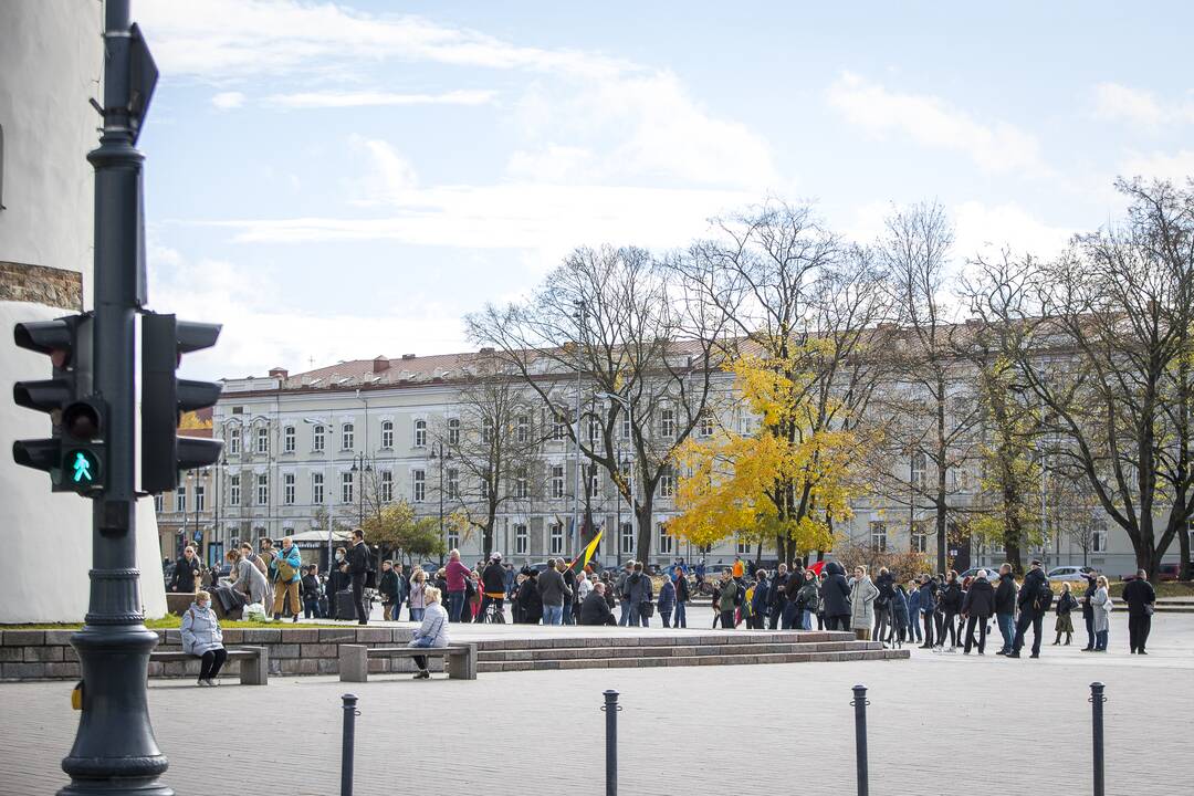 A. Astrauskaitės mitingas prieš pandemijos valdymą Vilniuje