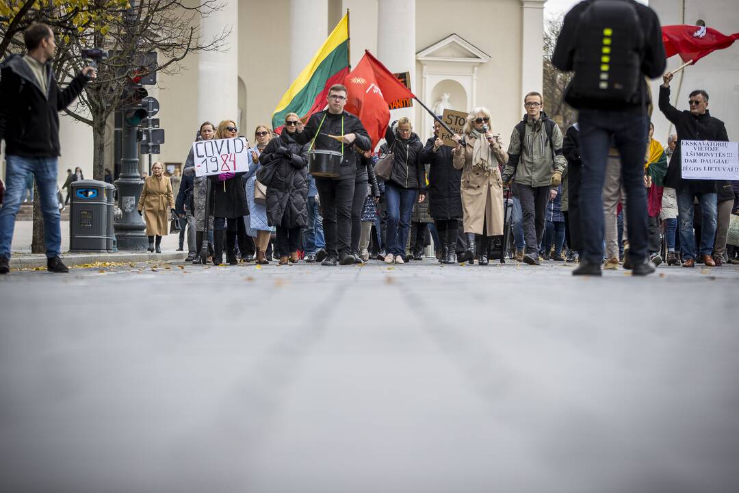 A. Astrauskaitės mitingas prieš pandemijos valdymą Vilniuje