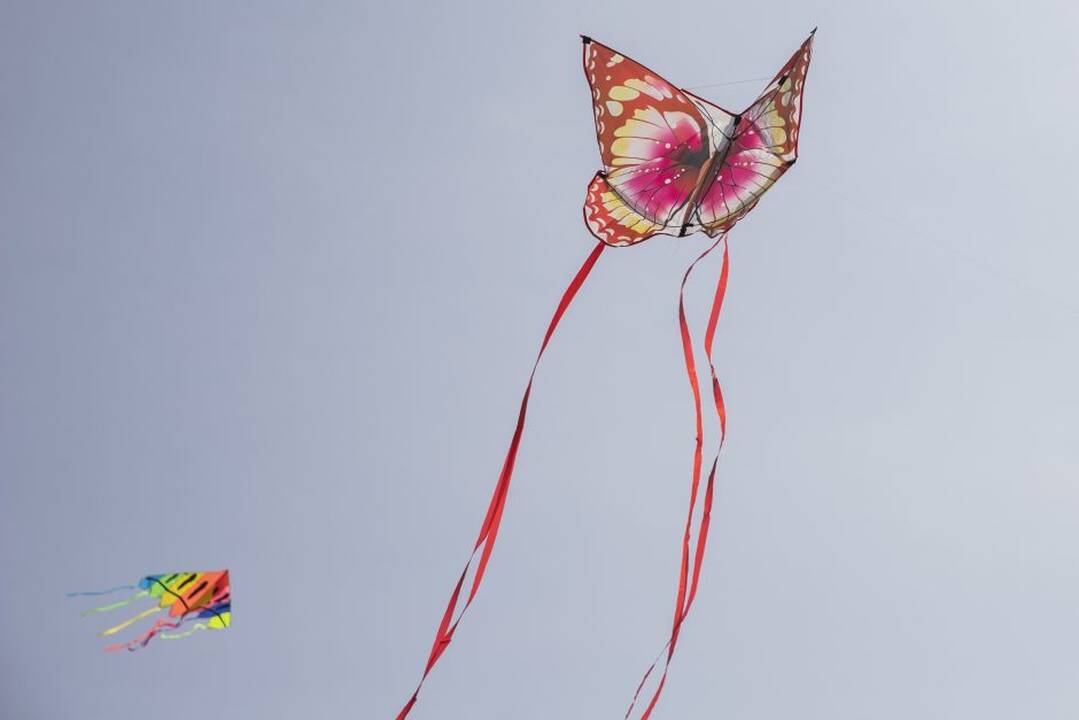 Klaipėdoje pirmą kartą vyks aitvarų festivalis (programa)
