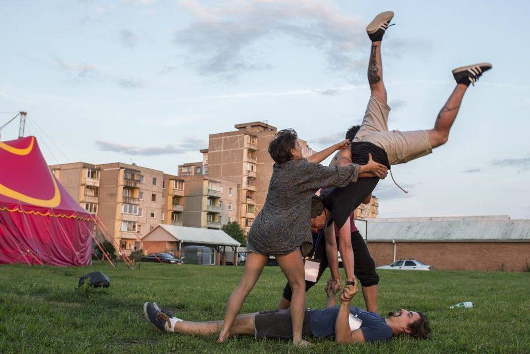 „Cirkuliacijos“ susitikimai: šiemet – Dainavoje