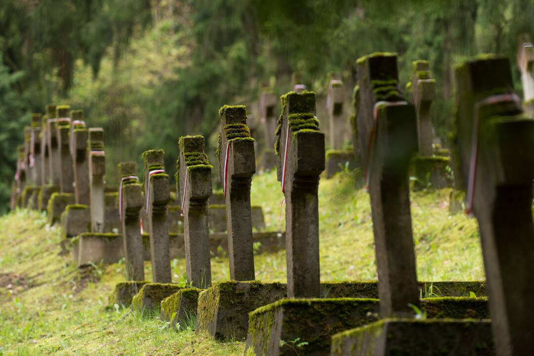 KTU gimnazijos įkūrėjas B. Burgis atgulė amžinojo poilsio