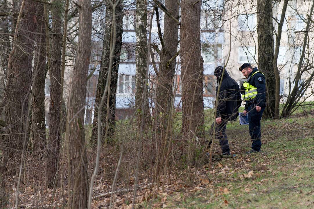Galimai pagrobtos mergaitės paieška Vilniuje