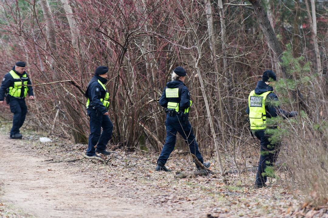 Galimai pagrobtos mergaitės paieška Vilniuje