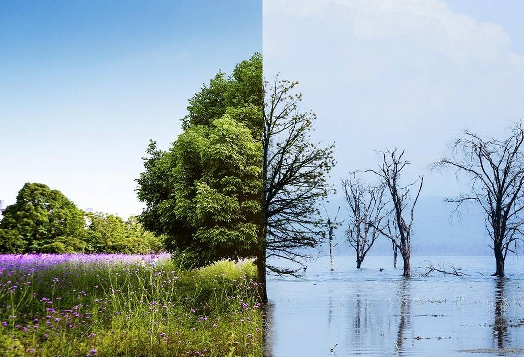 JAV ir Kiniją ragina bendrauti tiesiogiai, bendradarbiauti klimato srityje