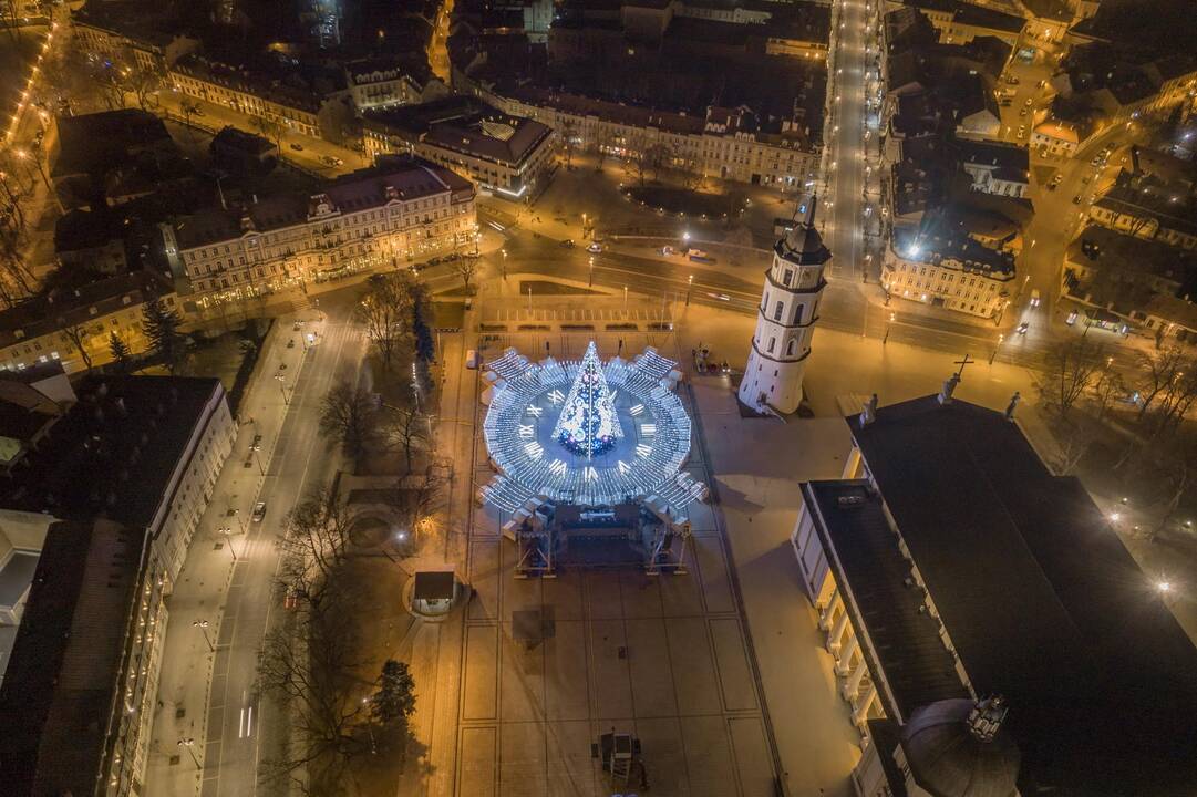 Sostinės Katedros aikštėje suspindo Kalėdų eglė