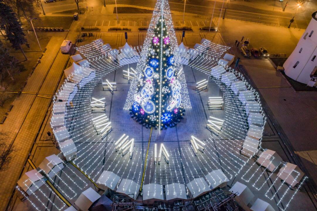 Sostinės Katedros aikštėje suspindo Kalėdų eglė