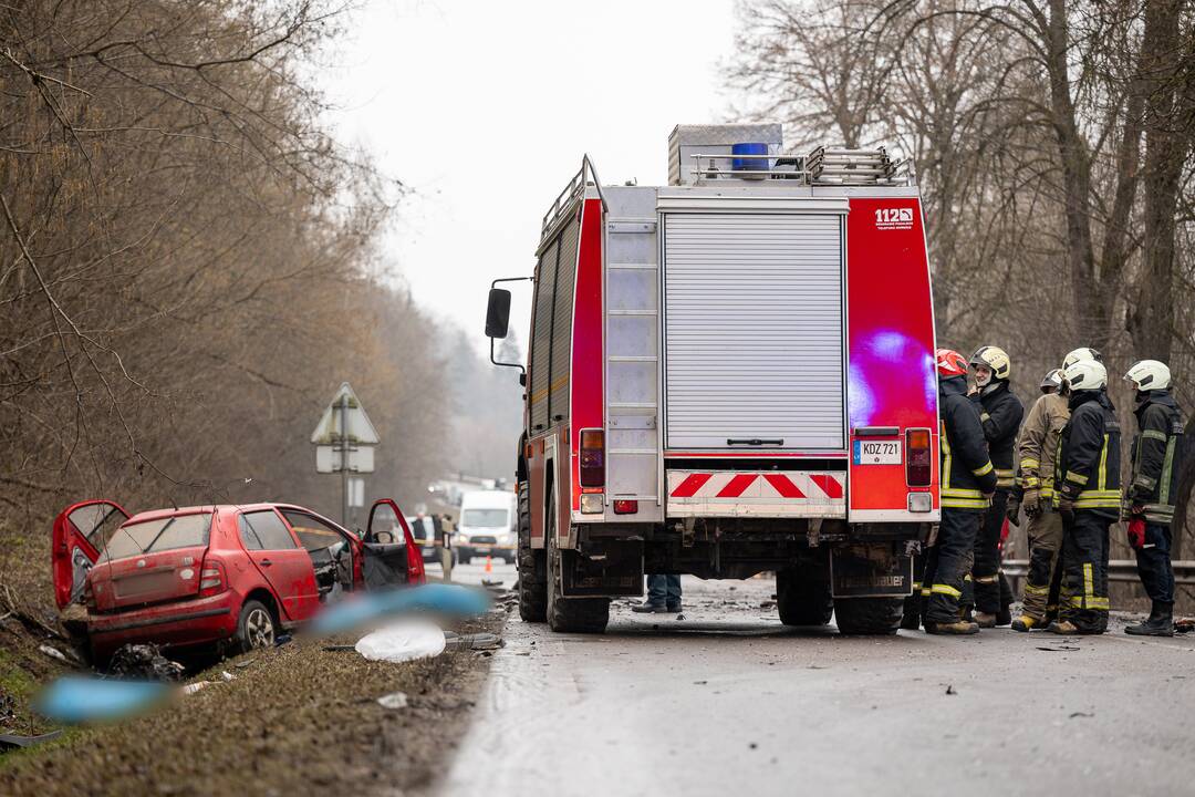 Netoli Kauno – siaubinga akistata su miškovežiu