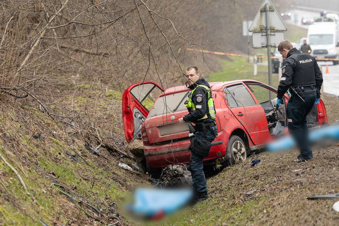 Netoli Kauno – siaubinga akistata su miškovežiu