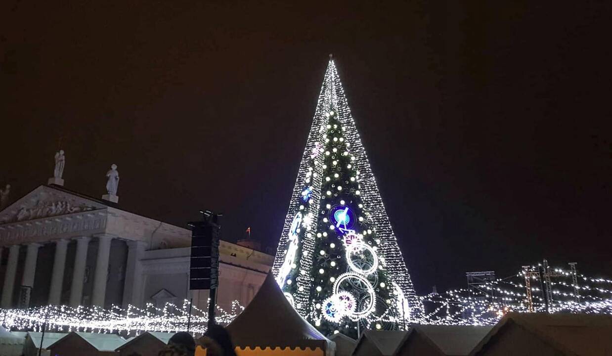 Sostinės Katedros aikštėje suspindo Kalėdų eglė