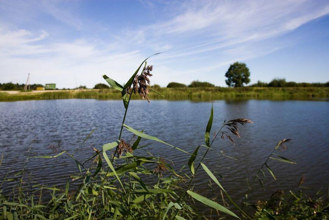 Šeštadienį vandens telkiniuose rasti du negyvi žmonės