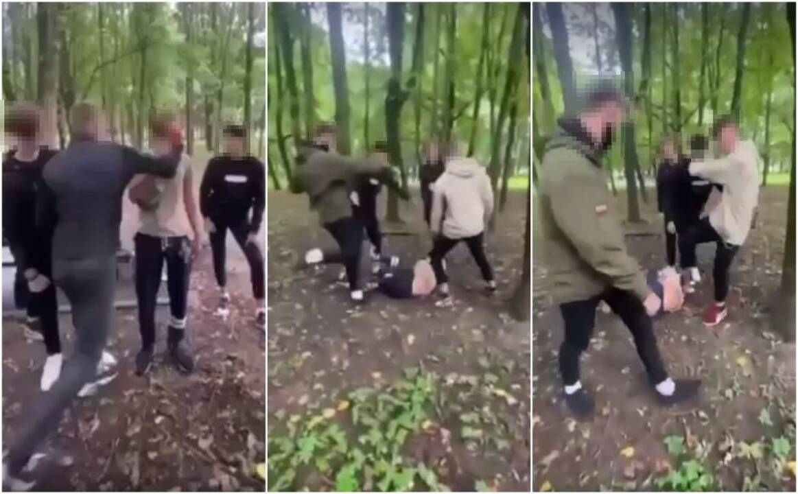 Egzekucija Draugystės parke: keršytojų atgailą lydėjo priverstiniai finansiniai nuostoliai
