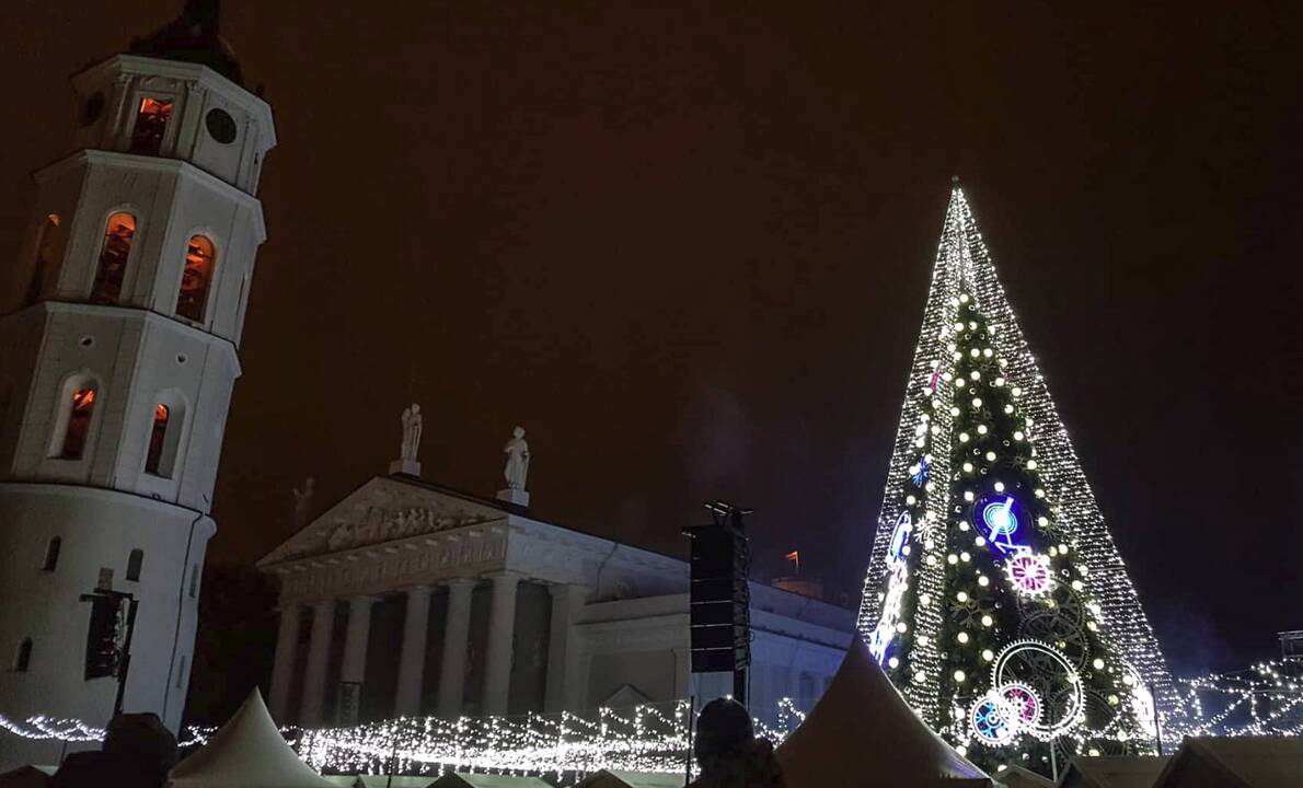 Sostinės Katedros aikštėje suspindo Kalėdų eglė
