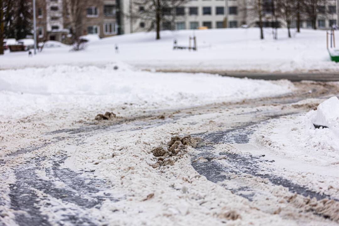 Grigiškių gatvės po nakties pūgos