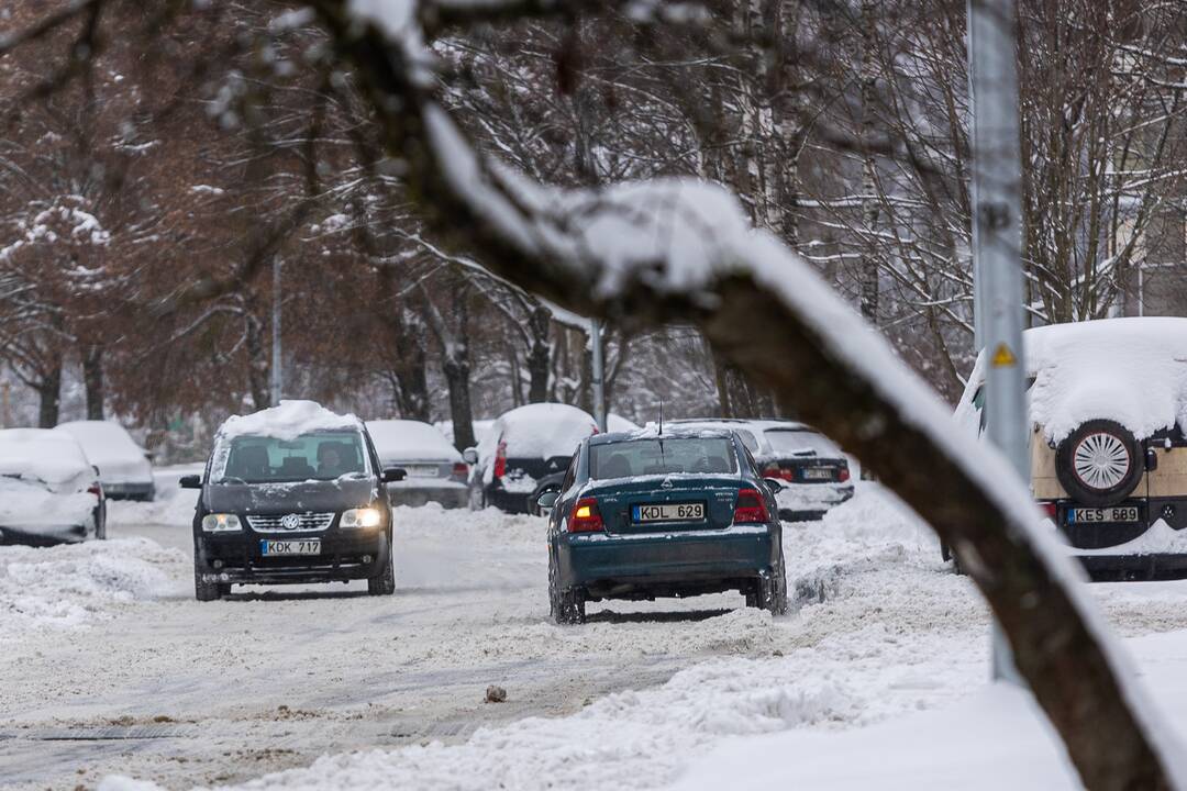 Grigiškių gatvės po nakties pūgos