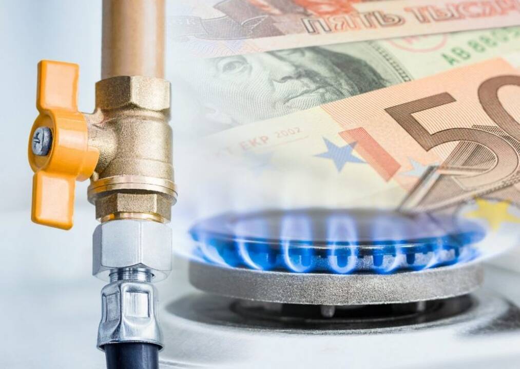 Svarbu: patvirtintos naujos elektros ir dujų kainos gyventojams  