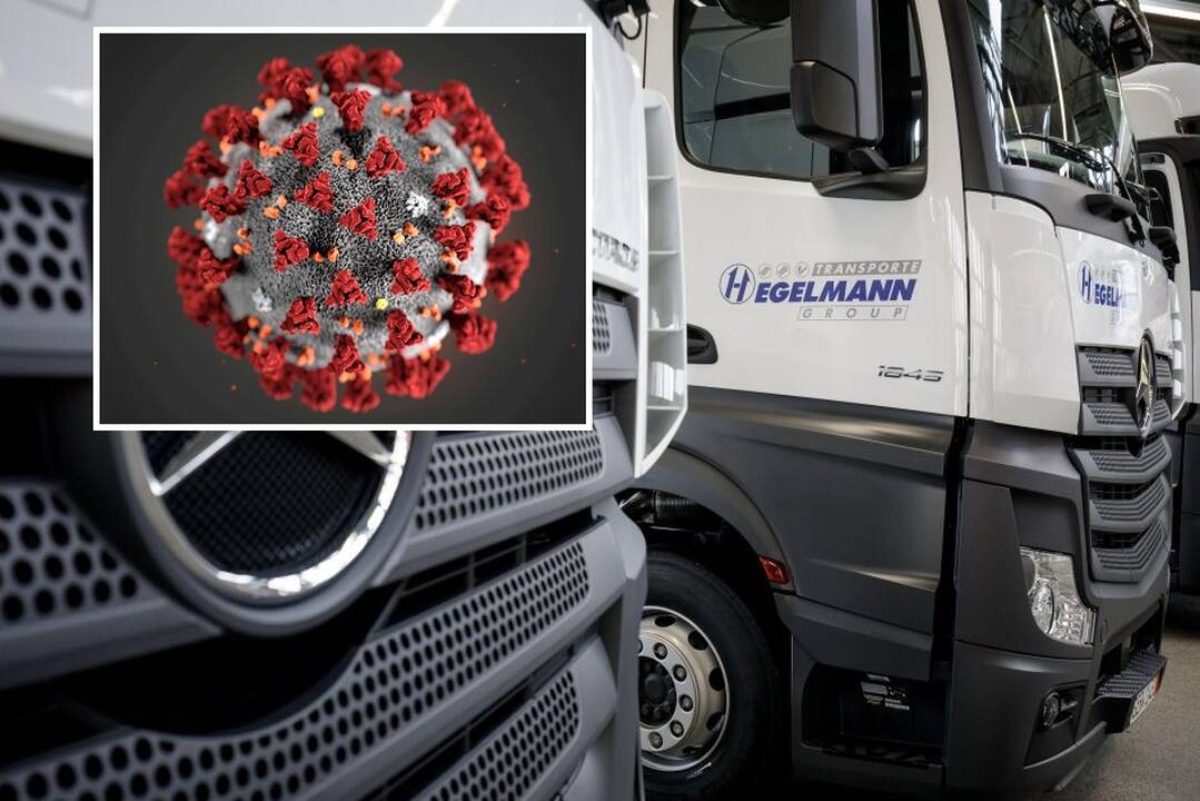 Patvirtinta: virusą į Kauną atvežė darbo „Hegelmann Transporte“ ieškoję uzbekai