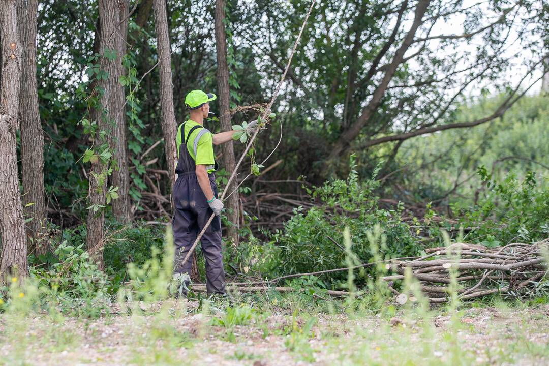 Baimės: vietos gyventojai nerimauja, kad sklype neatsirastų kotedžų.