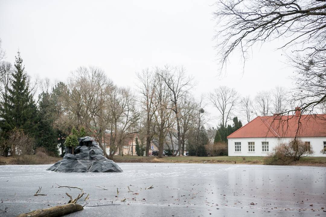 Skulptūra King Kongas perkelta į Botanikos sodo tvenkinį