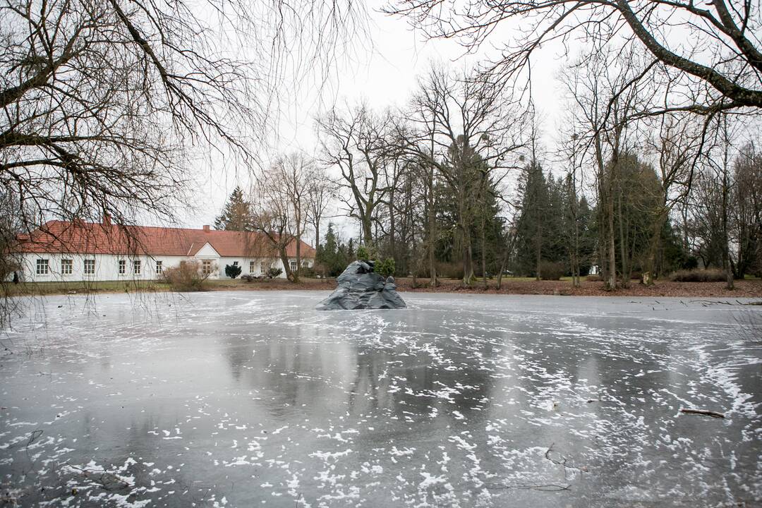 Skulptūra King Kongas perkelta į Botanikos sodo tvenkinį