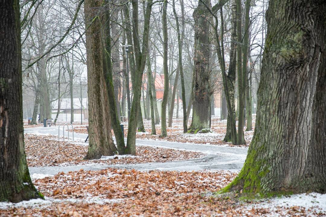 Planai: norima iš privačių asmenų perimti parke esantį nekilnojamąjį turtą ir iki galo sutvarkyti erdvę.