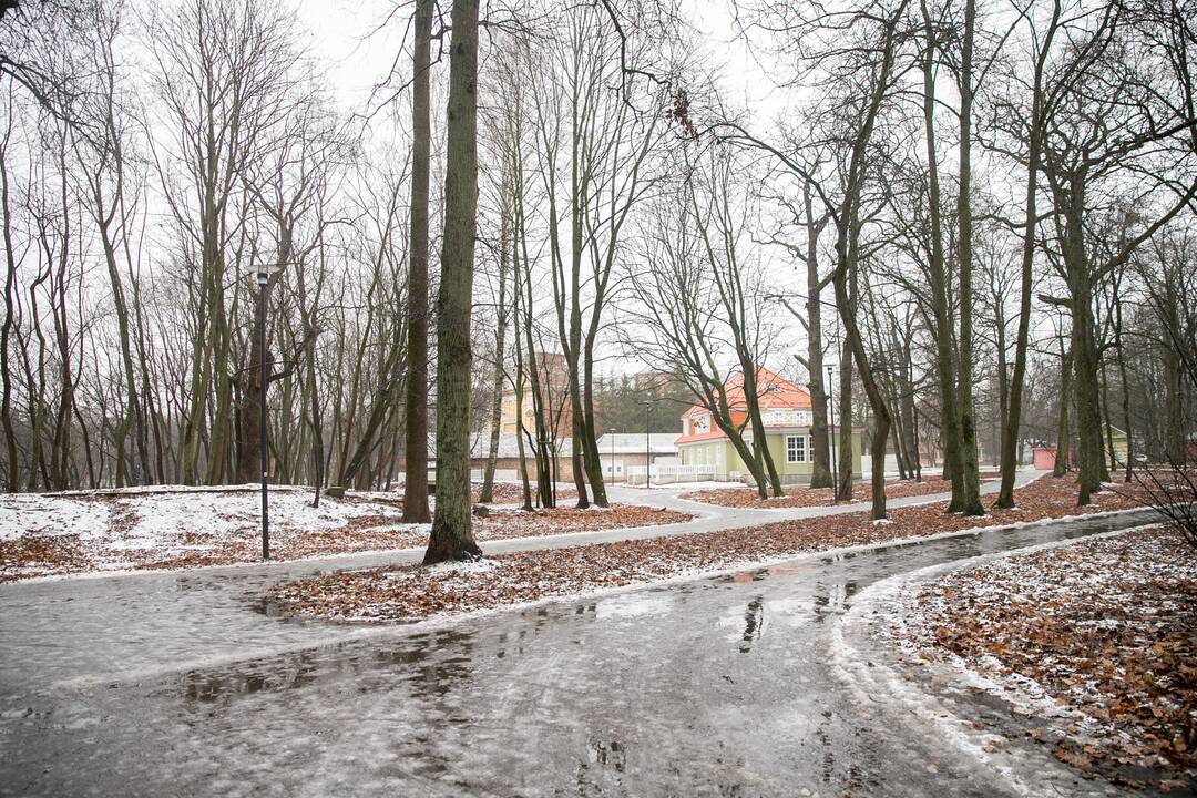 Planai: norima iš privačių asmenų perimti parke esantį nekilnojamąjį turtą ir iki galo sutvarkyti erdvę.