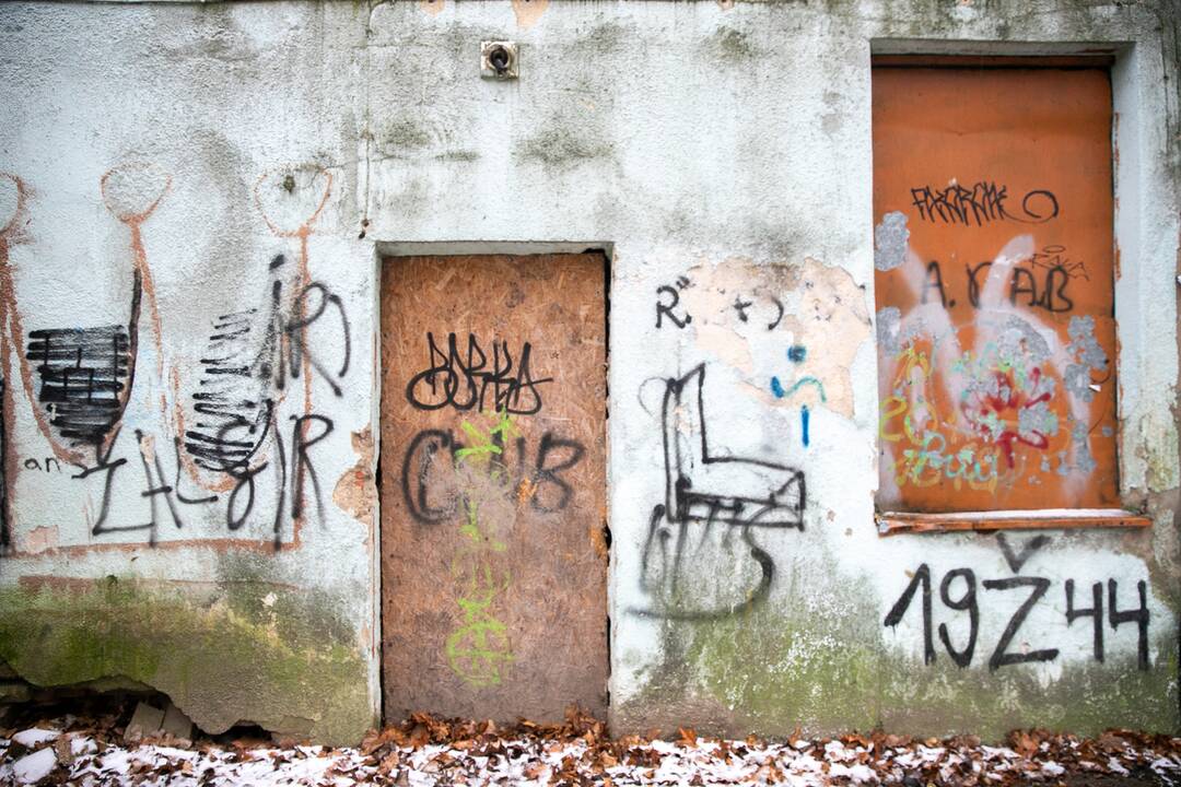 Planai: norima iš privačių asmenų perimti parke esantį nekilnojamąjį turtą ir iki galo sutvarkyti erdvę.