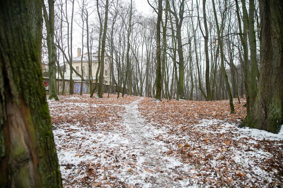 Planai: norima iš privačių asmenų perimti parke esantį nekilnojamąjį turtą ir iki galo sutvarkyti erdvę.