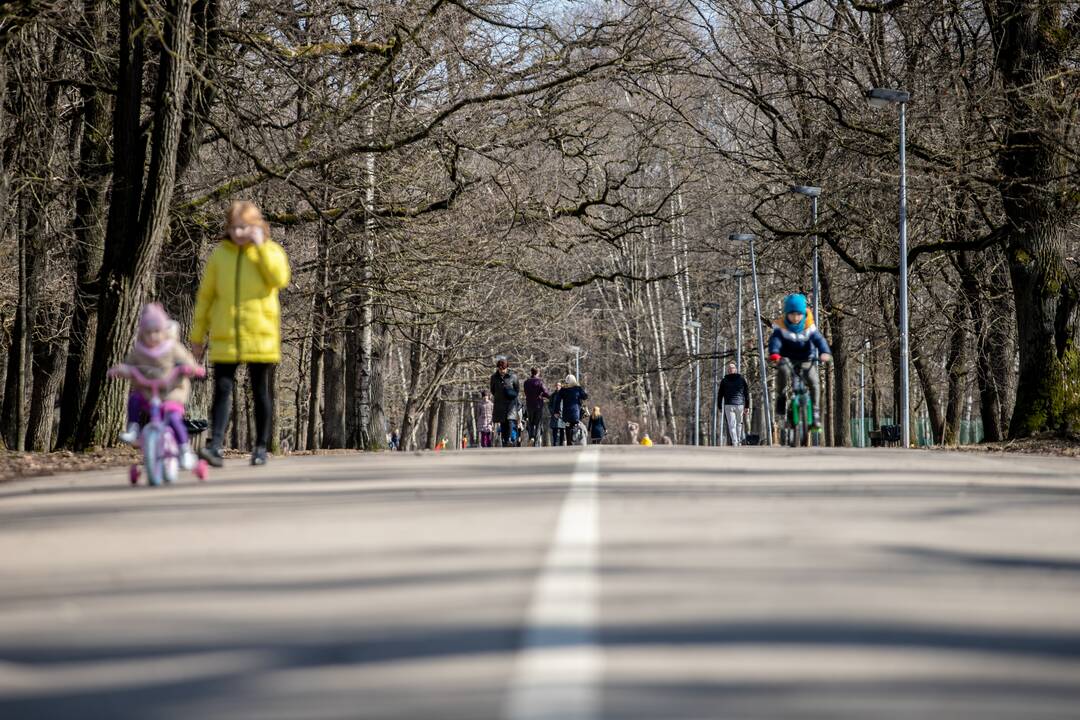 Šylant orams Ąžuolyne prasidėjo tvarkymo darbai
