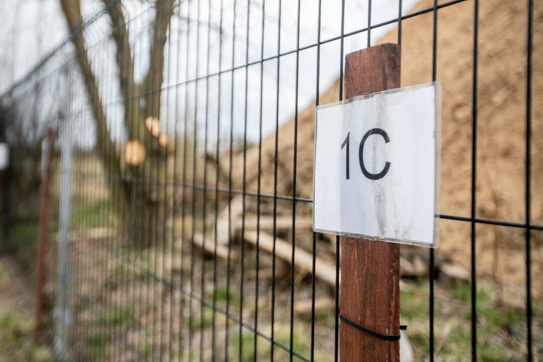 Kantrybė: Pienių g. 1C gyventojai ilgus metus dėl nelegalaus kelio negali naudotis savo sklypu, tad žada apsitverti tvoromis.