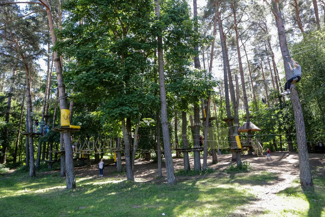 Laisvė: užsisėdėję prie kompiuterių, mokslo metų baigimo šventes moksleiviai perkėlė po atviru dangumi.