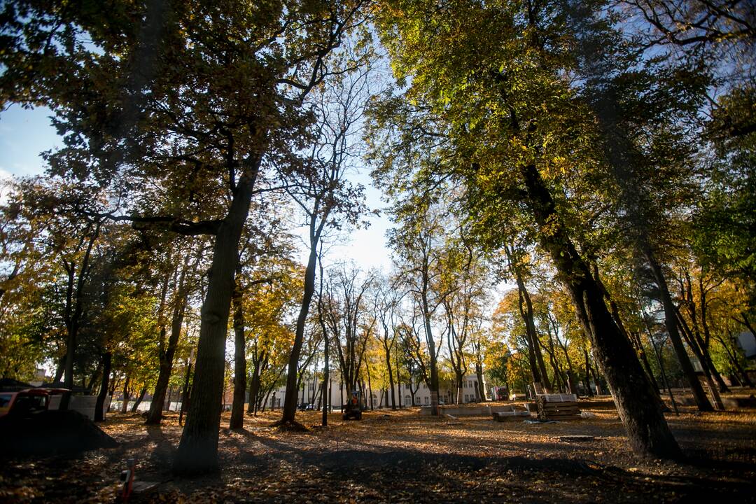 Užstrigo: Miesto sodeliui skirtas granitas keliavo ilgiau, nei planuota.