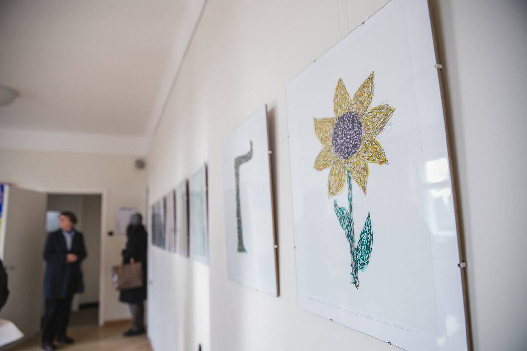 Pokyčiai: iki tol savo darbus rodžiusi Ukrainos žmonėms, dabar Katya su jais supažindina lietuvius.