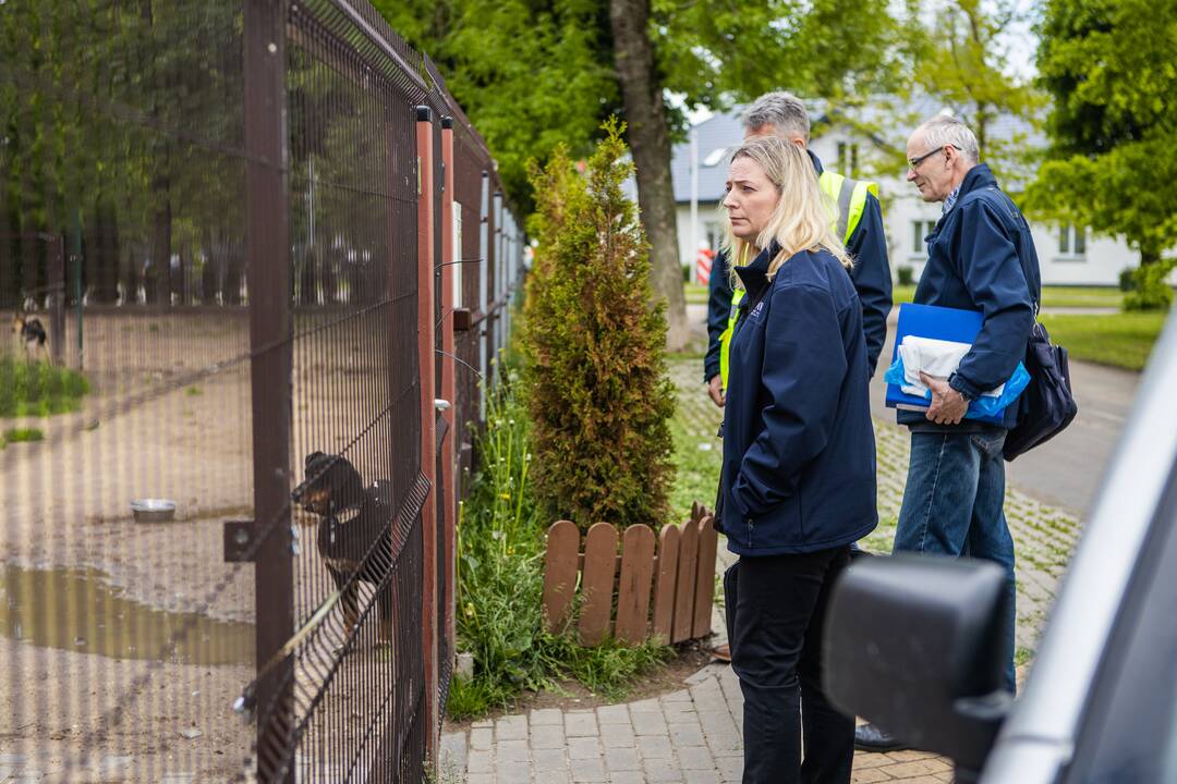 Vertinimas: Oksana, ieškodama savo draugo šuns, susigraudino nuo pamatytų sąlygų prieglaudoje.