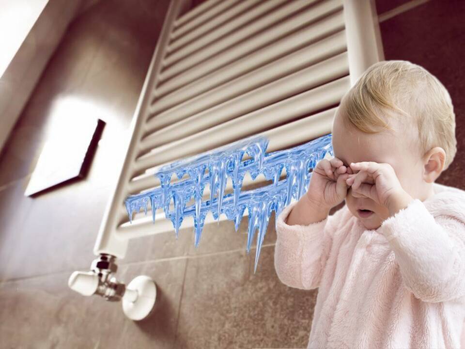 ESO siutina Jonučių gyventojus: dėl jų akibrokštų šąla mūsų maži vaikai 