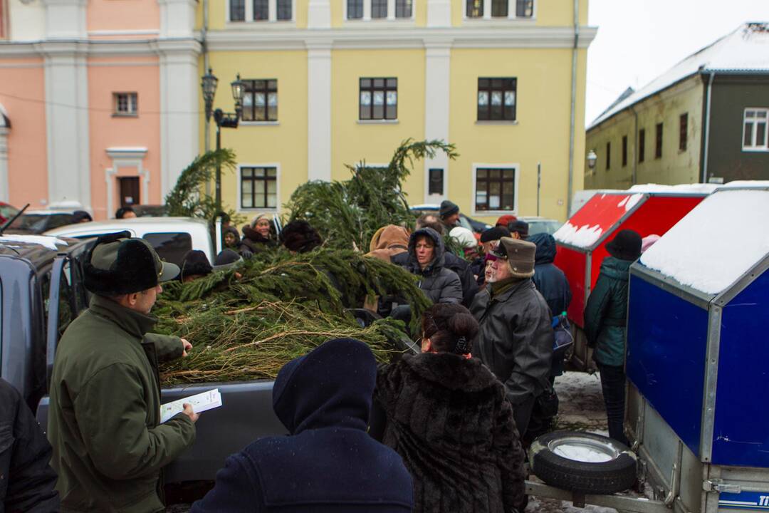 Akciją „Parsinešk Kalėdas į savo namus“ Kaune