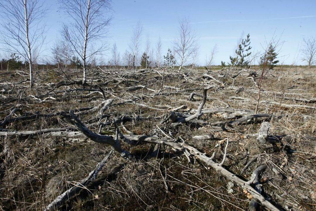 Liepsnos toliau negailestingai ryja laukus ir miškus