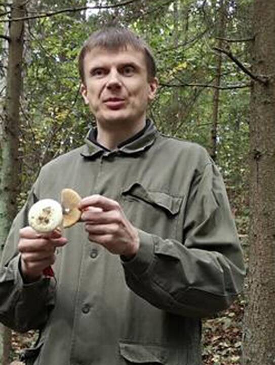Rekordai: voveraitė pradeda augti vos nuo 1 mm per parą, baravykas – beveik dešimtkart greičiau, maždaug 1 cm per parą, o poniabudė, kai jau susiformuoja jos kiaušinis, – net 5 mm per minutę.