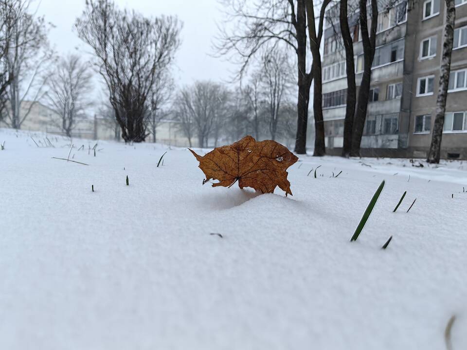 Kauną nuklojo sniegas