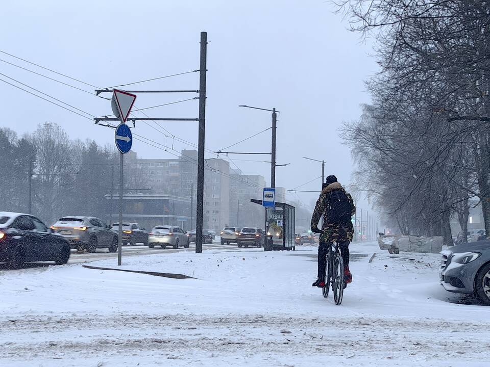 Kauną nuklojo sniegas
