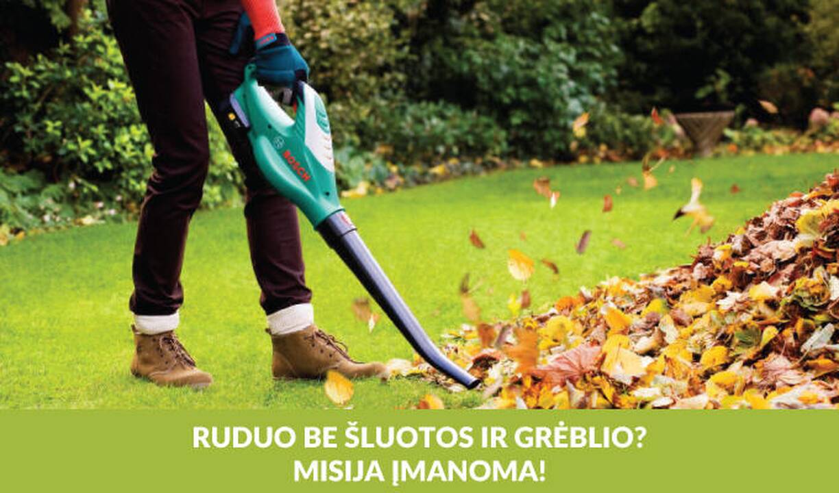 Rudeninių lapų atsikratyk be grėblio: naudingi patarimai