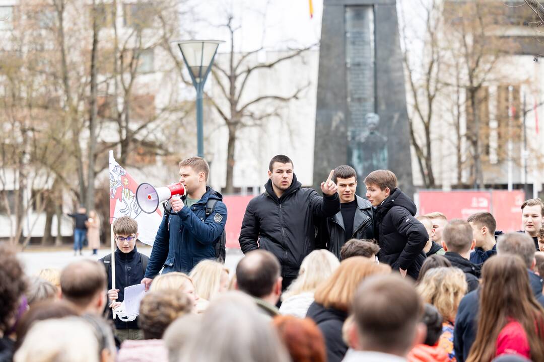 Mitingas tautinių mažumų mokykloms apginti