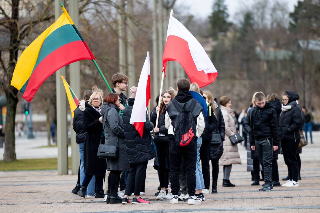 Mitingas tautinių mažumų mokykloms apginti