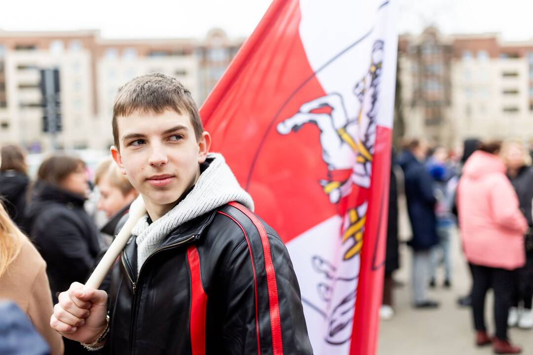 Mitingas tautinių mažumų mokykloms apginti