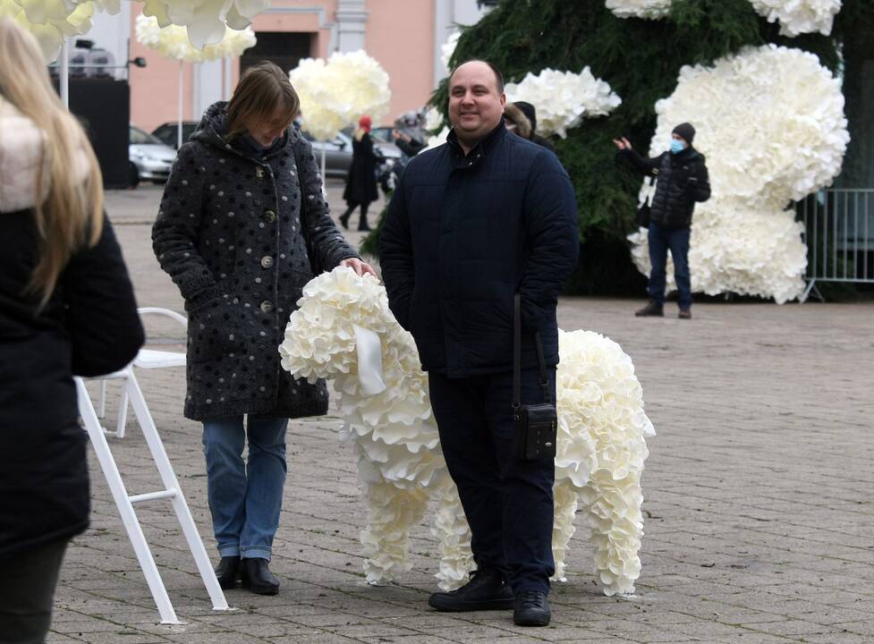 Kauno eglutė laukia įžiebimo šventės