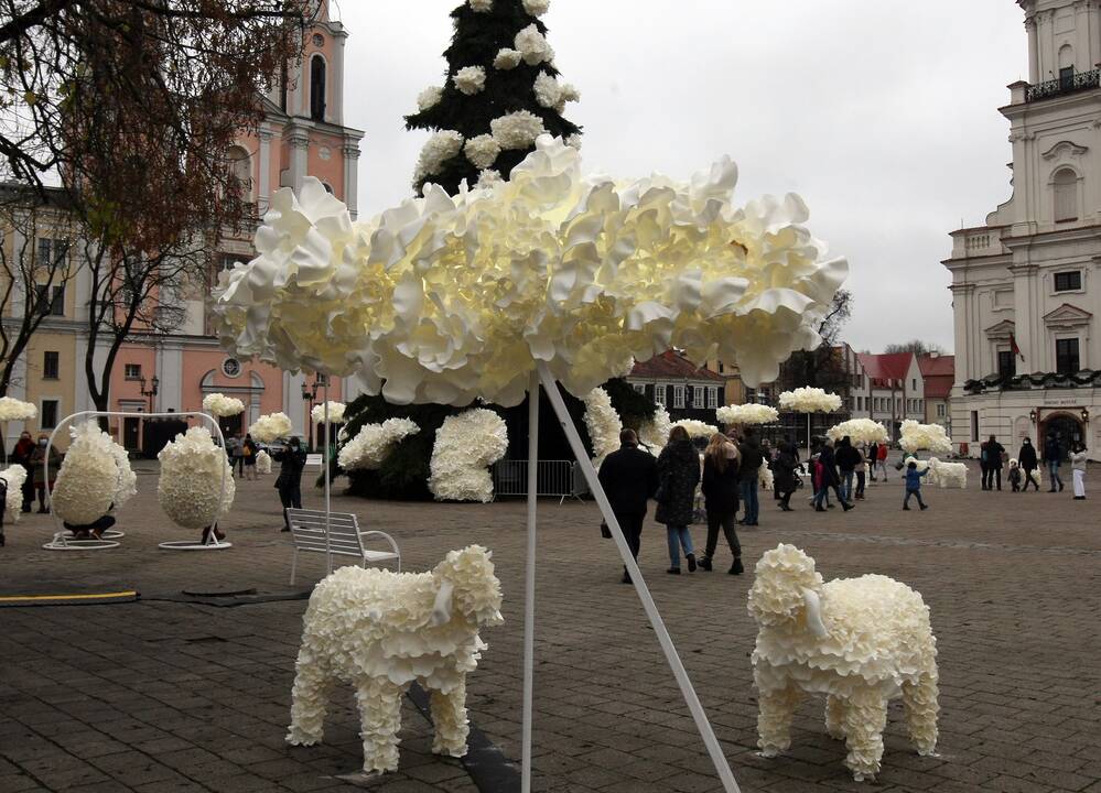 Kauno eglutė laukia įžiebimo šventės