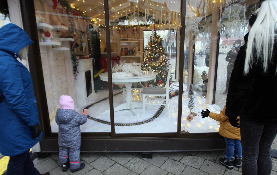 Kauno eglutė laukia įžiebimo šventės
